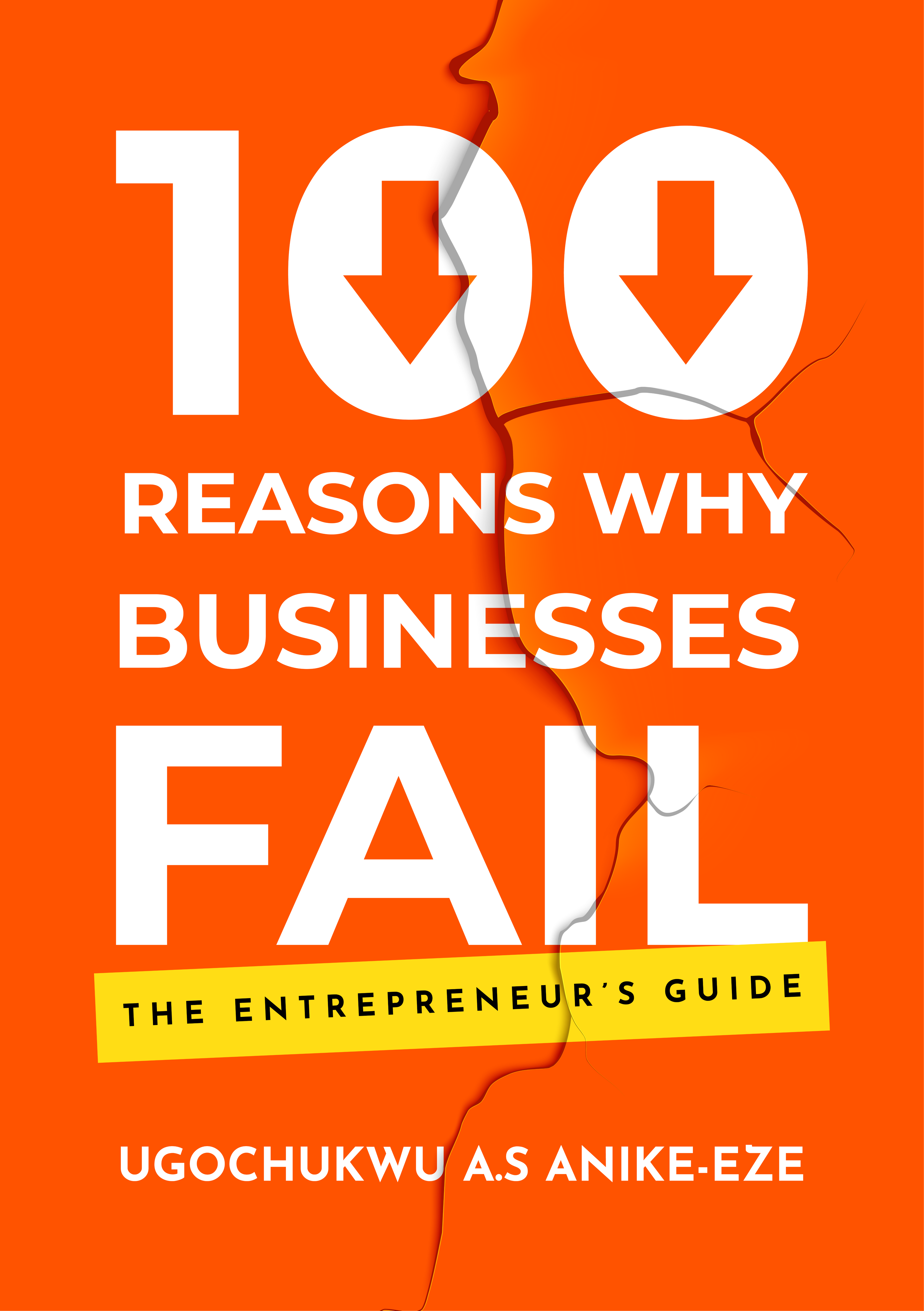 100 Reasons Why Businesses Fail: The Entrepreneur’s Guide [PaperBack]